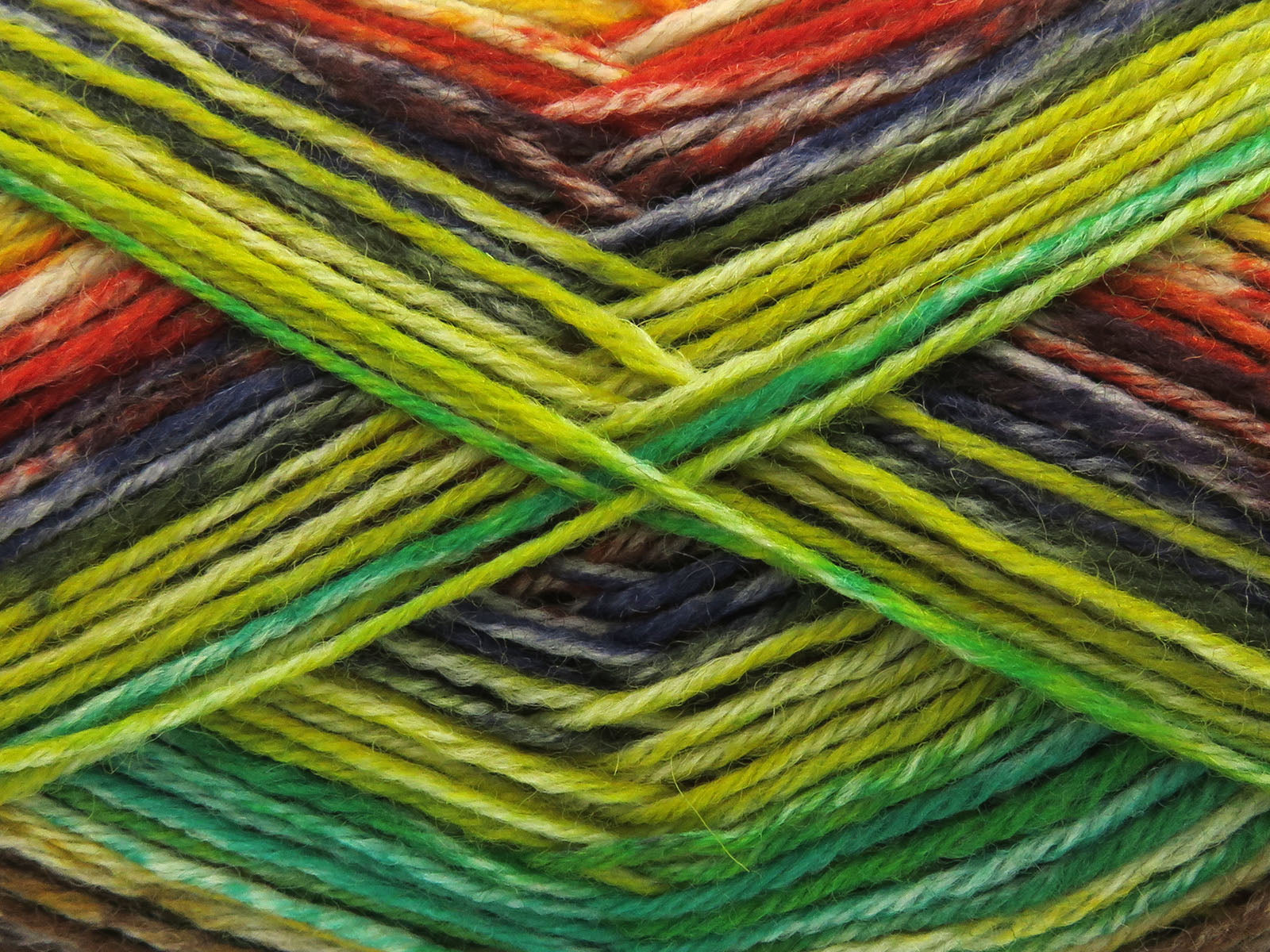 Sock Varicolor