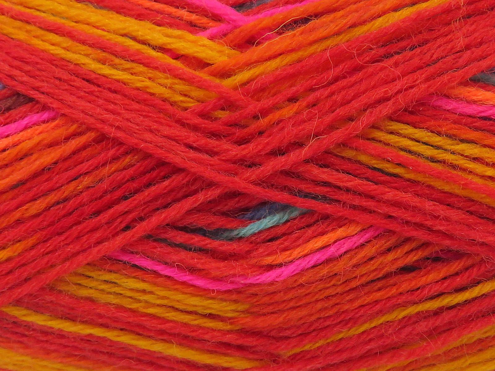 Sock Varicolor